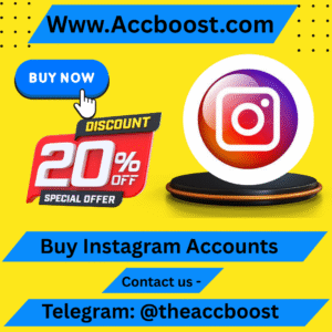 Buy Instagram Accounts