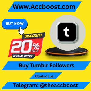 Buy Tumblr Followers
